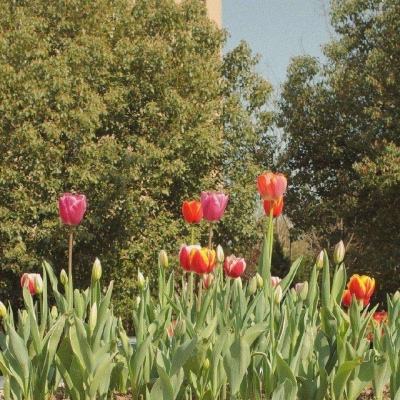 皇冠app官方下载截图